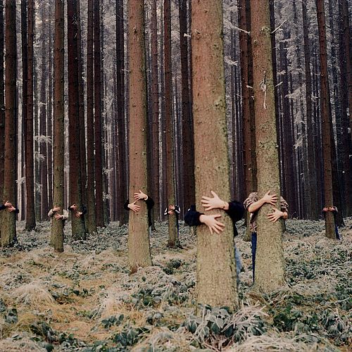 © Jochen Manz – An jedem Baum hängt unser Leben (1985)
