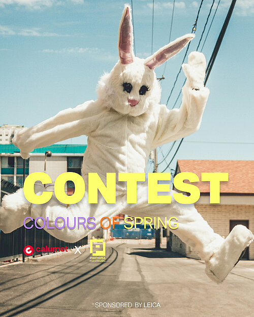 Springender Hase; Contest - Colours of Spring